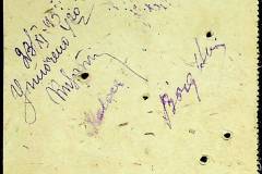 241