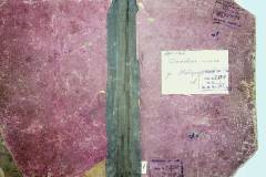 r2847-001-167-001