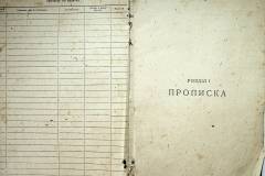 r2847-001-244-003