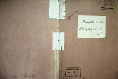 r2847-001-335-001
