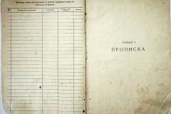 r2847-001-388-003