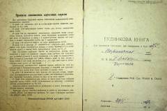 r2847-001-428-002