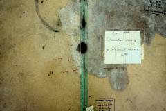 r2847-001-498-001