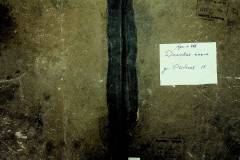 r2847-001-721-001