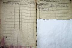 r2847-001-866-010