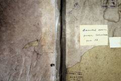 r2847-001-890-001
